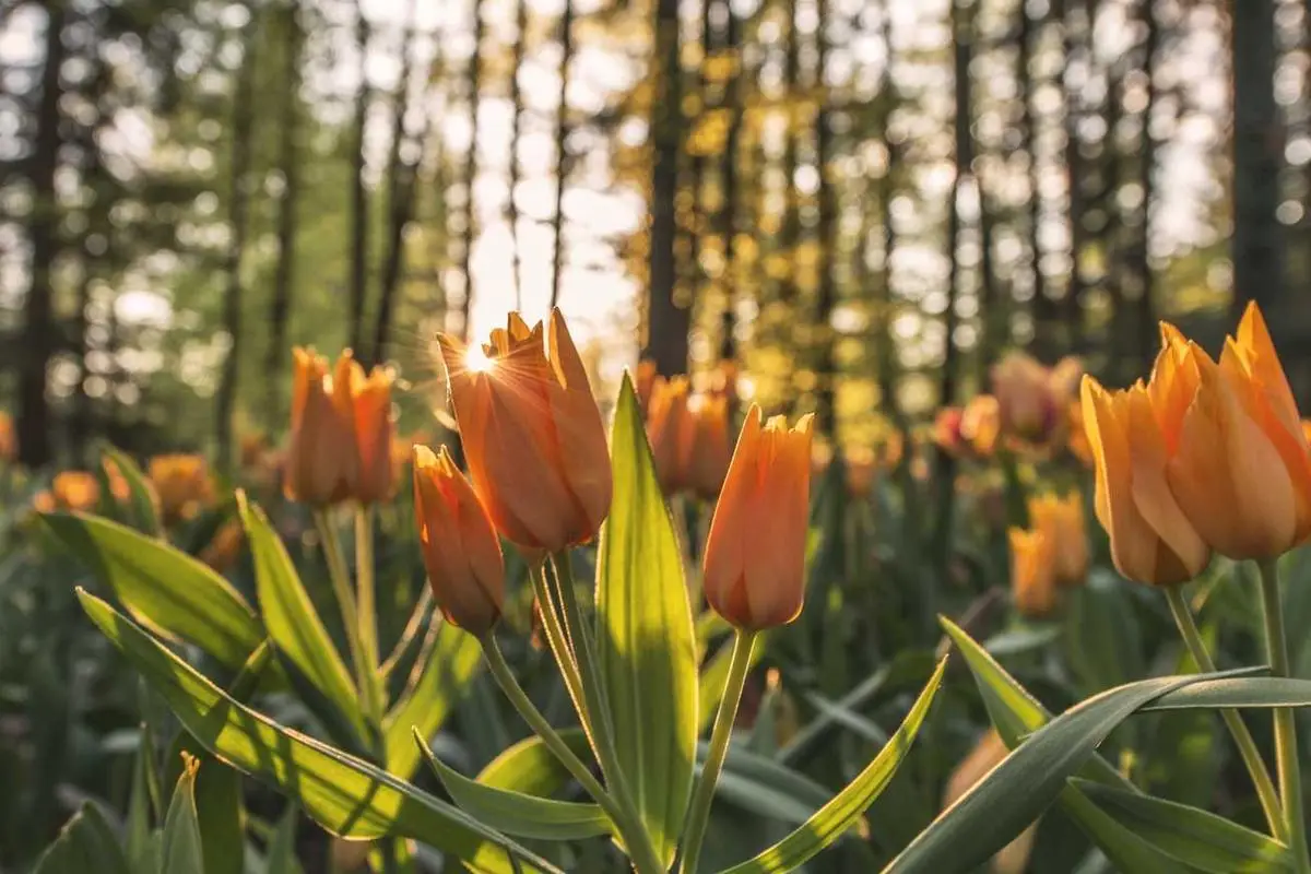 Leia mais sobre o artigo Tendências da moda retrô em 2025: o que esperar?