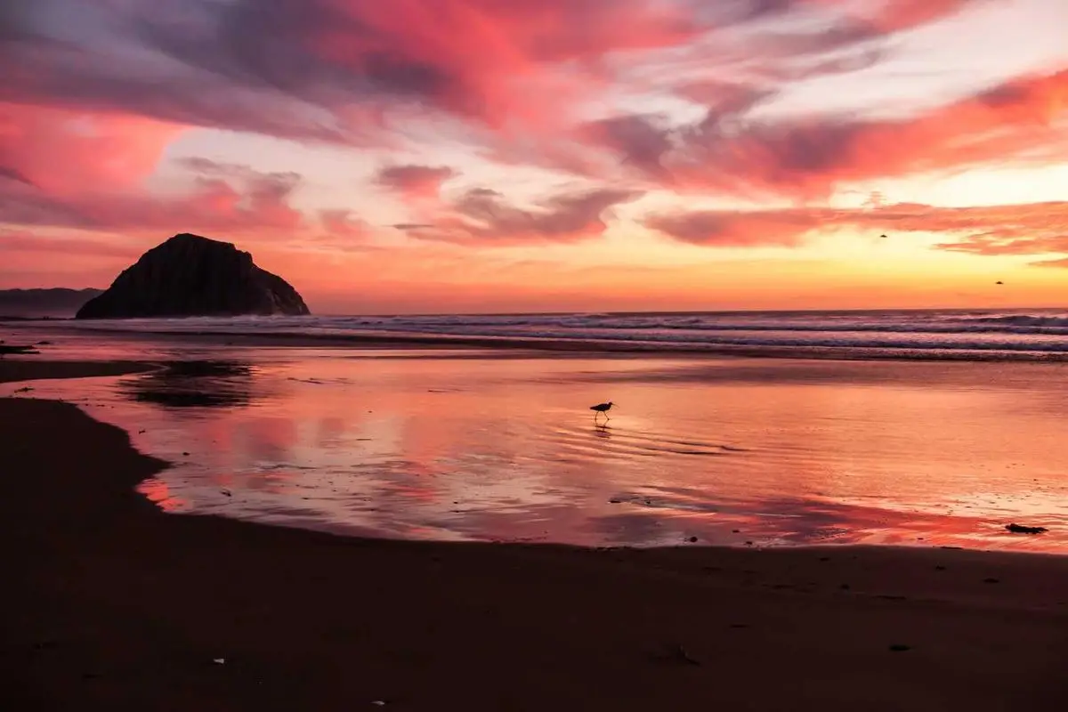 No momento, você está visualizando Calças boca de sino: a volta da elegância dos anos 70 em 2025