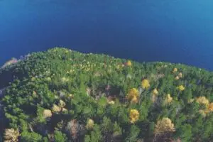 Leia mais sobre o artigo Tendências retrô em cores e padrões icônicos em 2025