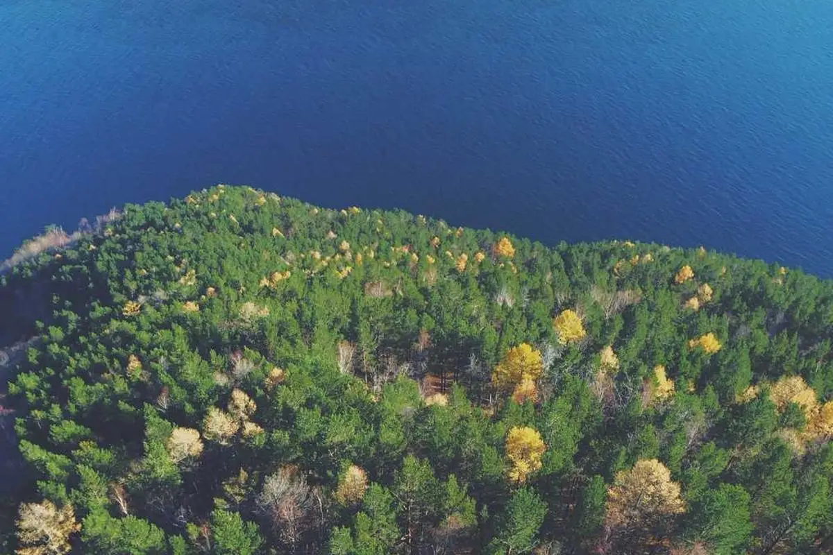 Leia mais sobre o artigo Tendências retrô em cores e padrões icônicos em 2025