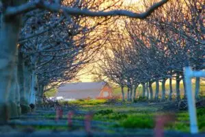 Leia mais sobre o artigo Iluminação cênica e pontos de luz criativos em 2025