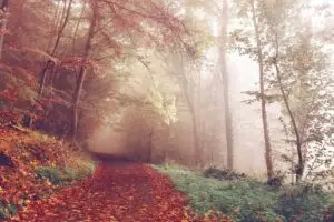 Leia mais sobre o artigo Integração de tecnologia inteligente em projetos de interiores em 2025