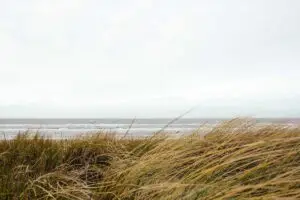 Leia mais sobre o artigo Representatividade LGBTQIA+ no cinema brasileiro em 2025